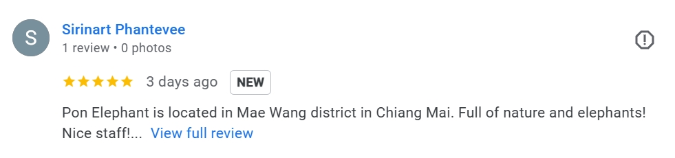 pon elephpant chiangmai thailand reviews
